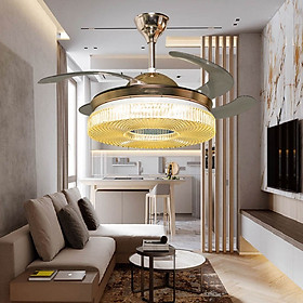 Mua Đèn quạt trần cao cấp DQ7876