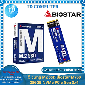 Ổ cứng M2 SSD Biostar M760 256GB NVMe 2280 PCle Gen 3x4 - Hàng chính hãng DigiWorld phân phối