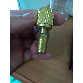 Mua Đầu chuyển đổi gas R410A