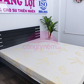 Mua Nệm cao su TL Gold Latex phẳng Tundo