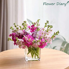 Mua Bình thủy tinh vuông