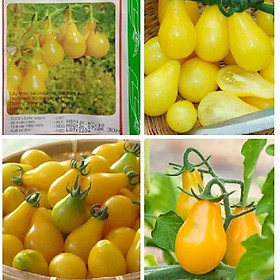 Hình ảnh Hạt giống cà chua quả trái lê vàng dể trồng f1-gói 20 hạt-tặng kèm gói phân bón lót