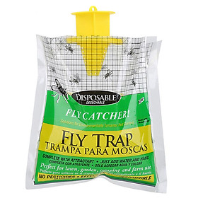Bẫy Ruồi Dùng Một Lần