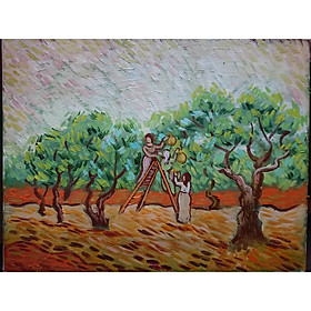 Mua Tranh Sơn Dầu Vẽ Tay 30x40cn - Thu Hoạch Oliu (mùa xuân)