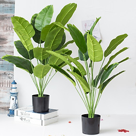 Mua Cây chuối giả cảnh decor siêu xinh 18 lá cao 81cm - CÂY CHƯA KÈM CHẬU KHÁCH NHÉ