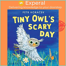 Sách - Tiny Owl's Scary Day by Petr Horacek (UK edition, hardcover)