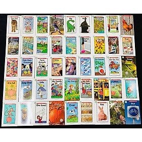 Bộ 40Q Raz kids Level AA Cho Các Bé