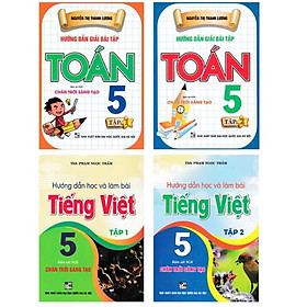 Hướng Dẫn Giải Bài Tập Toán 5 + Hướng Dẫn Học Và Làm Bài Tiếng Việt 5 - Chân Trời Sáng Tạo - Combo 4 Cuốn - Hồng Ân