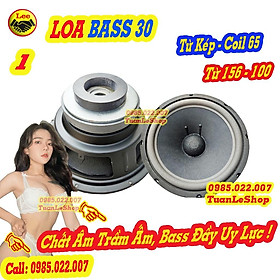 1 LOA BASS 30 GÂN MÚT COIL 65.5 TỪ KÉP KIỂU BMB GIÁ 01 LOA BASS 3 TẤC TU