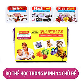 BỘ 280 THẺ HỌC LOẠI TO 14 CHỦ ĐỀ THEO GLENN DOMAN - THẾ GIỚI XUNG QUANH