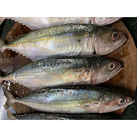 CÁ BẠC MÁ TƯƠI - khay 500g