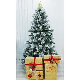 Mua CÂY THÔNG PHỦ TUYẾT 180CM
