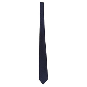 Mens Long Rayon Striped Paisley Jacquard Woven Wedding Tie Necktie Casual