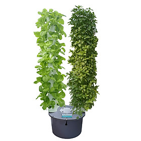 Trụ Đôi Thủy Canh Trồng Rau Sạch TTC-V2 (72 Hốc Rau - Phiên Bản Mới)