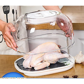 Mua Máy rã đông thực phẩm tiện lợi KAYUSO  Bảo hành 12 tháng