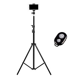 Chân Máy Quay Phim, Chụp Ảnh, Livestream Tripod LT02 - Hàng Nhập Khẩu