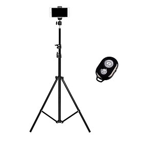 Mua Tripod-Chân Máy Quay Phim Chụp Ảnh  lIvestream LT.02