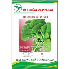 Hạt giống rau dền xanh cao sản ( lá tròn ) CT112 - Gói 20gram