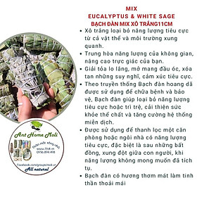 Mua Bó xô thanh tẩy và bảo vệ (bạch đàn mix xô thơm trắng)