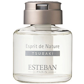 Nước thơm cao cấp dùng cho xe hơi nhãn hiệu Esteban- Mùi hương cây hoa trà