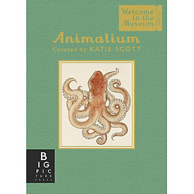 Download sách Sách Animalium (Mini Gift Edition)