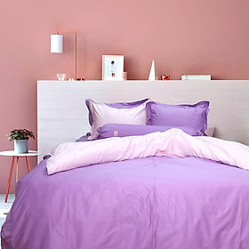 Bộ chăn drap gối cotton satin Ai Cập Julia 535BM16 160 x 200 x 28