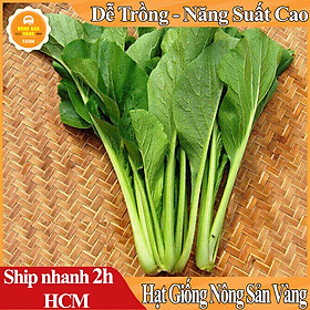 Hạt giống Cải Ngọt, Nảy Mầm Cao, Sinh Trưởng Và Phát Triển Khỏe, Kháng Bệnh Cao (Gói 20 Gram) - Nông Sản Vàng