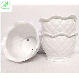 3 Chậu nhựa quả Dứa 100x70x60, trồng cây mini,  xương rồng, cây để bàn, sen đá