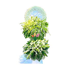 Mua Thiên Thu – 334