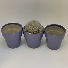 Bộ 3 Chậu Sứ - 7x7x7 Cm - Mầu Tím - Dáng Trôn Ốc - Chậu Gốm Bát Tràng Trồng Cây Mini Để Bàn, Tiểu Cảnh Terrarium, Sen Đá & Xương Rồng