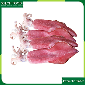 Mực ống size lớn (size 2 - 5 con/kg) - 500gr - Mực ống tươi đánh bắt Quy Nhơn