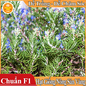 Mua Hạt giống Cây Hương Thảo ( Gói 15 Hạt ) - Nông Sản Vàng