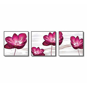 Bộ 3 Tranh Q6D11-WK1031
