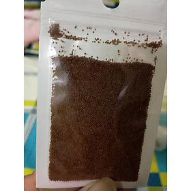 Hạt giống Trần Châu Ngọc Trai