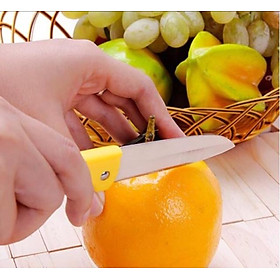 Mua Dao gọt hoa quả gấp gọn