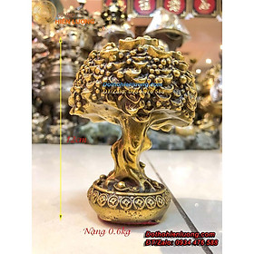 Mua Cây Tiền Tài Lộc Phong Thủy Bằng Đồng Vàng Cao 12cm