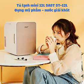 Mua Tủ lạnh mini 2 lít SAST PD-12L đựng mỹ phẩm làm mát nước uống bảo quản hoa quả thực phẩm - Tủ lạnh mini 2 dây nguồn cho gia đình và ô tô