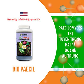 Mua Vi sinh đặc trị tuyến trùng hại rễ Bio Paecil - NSX Sun & Earth Microbiology  - Chai 1 quarter (≈ 1 lít)