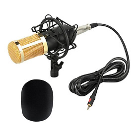 Condenser Microphone Sound Studio KTV Singing Recording W/Shock Mount
