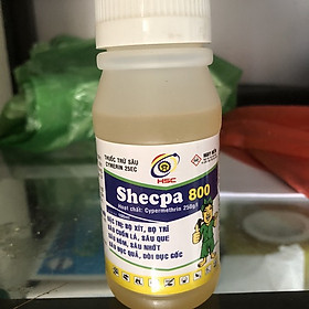 Mua Thuốc Trừ Sâu CYMERIN 25EC Shecpa 800  Diệt Trừ Bọ Xít  Bọ Trĩ  Sâu Cuốn Lá