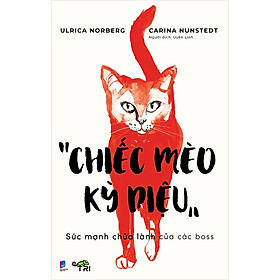 Sách Chiếc Mèo Kỳ Diệu