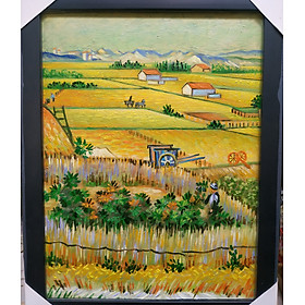 Mua Cánh Đồng Lúa Mì - Tranh Sơn Dầu Vẽ Tay 30x40cm