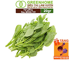 Mua Hạt Giống Rau Mồng Tơi Greenhome  Gói 20g  Dễ Trồng Quanh Năm  Nảy Mầm Cao  Thu Hoạch Nhanh  Năng Suất Cao R11