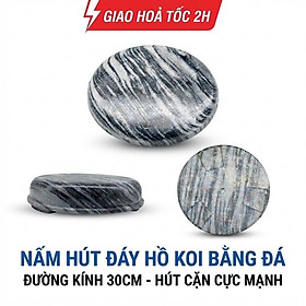 Nấm Hút Đáy Hồ Koi Đá Tự Nhiên 30cm Chuyên Dụng Xử Lý Cặn Đáy, Dễ Lắp Đặt