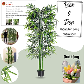 Mua Cây tre giả - Đường kính 3 cm - Loại nhiều lá đẹp - Cây giả  hoa lụa trang trí nhà cửa
