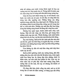 Con Hủi (Tái Bản)