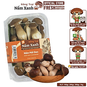 Nấm mối đen tươi 100gr 200gr 500gr - nông trại nấm xanh