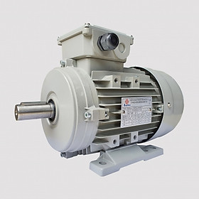 Mua Động cơ điện Enertech 3 pha vỏ nhôm ESA 0.37kW 4P B3 - Hàng chính hãng