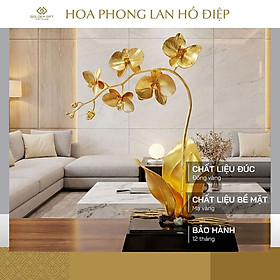 Mua Chậu hoa phong lan phú quý mạ vàng 24K: Quà tặng độc đáo nhân dịp sinh nhật  tân gia cho sếp