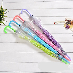 Mua Ô dù trong suốt hoa anh đào nhiều màu